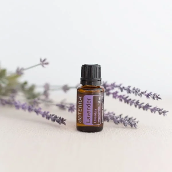 LAVENDER Pure doTERRA ēteriskā eļļa 15ml - Image 2