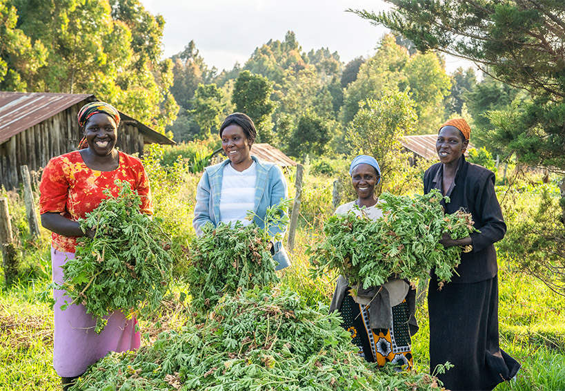 keturios juodaodės moterys kieme šypsosi su natūraliais doTERRA ingredientais