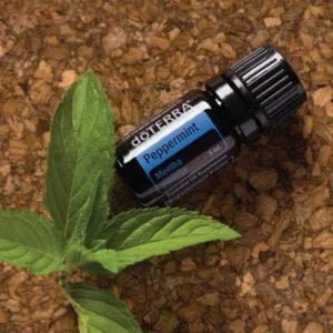 doTERRA pipirmėčių PEPPERMINT eterinis aliejus