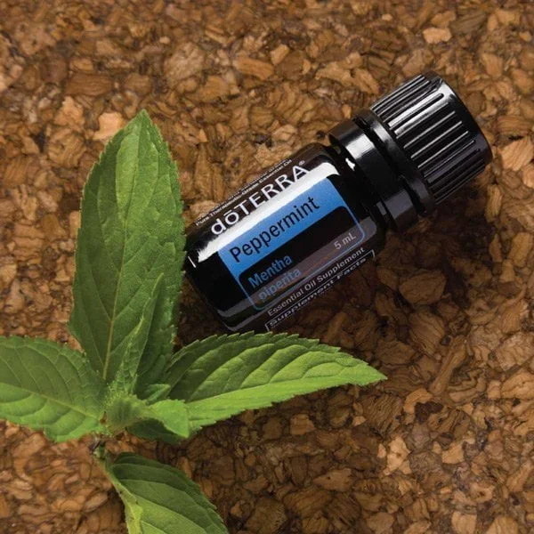 PEPPERMINT Pure doTERRA Essential Oil 15ml - Image 2