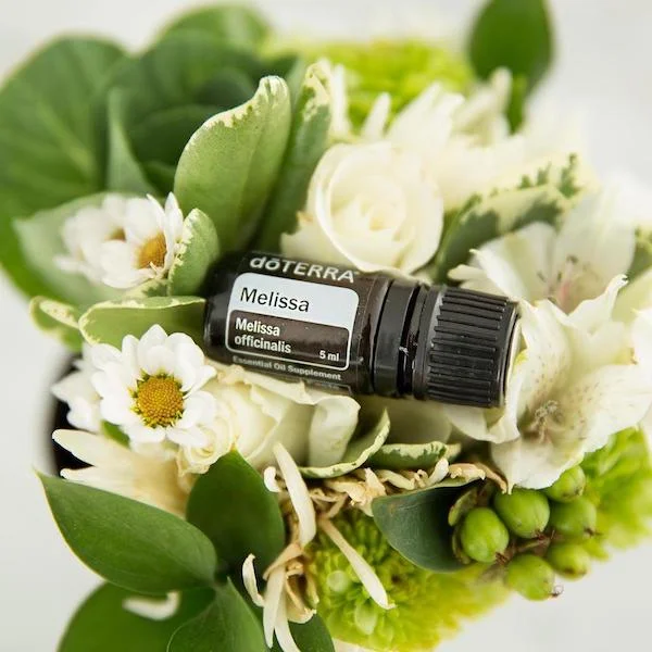 MELISSA Pure doTERRA Essential Oil 5ml - Image 3