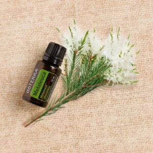 Arbatmedžio MELALEUCA Tea Tree Tyras doTERRA Eterinis Aliejus