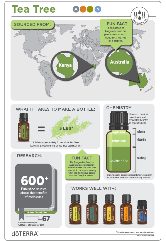 doTERRA arbatmedžio MELALEUCA TEA TREE eterinio aliejaus apibūdinimas ir žemėlapis