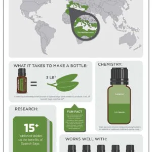 Levandinių Šalavijų (SPANISH SAGE) Tyras Eterinis Aliejus 15 ml
